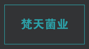 食品行业淮安清江浦区工作服设计款式